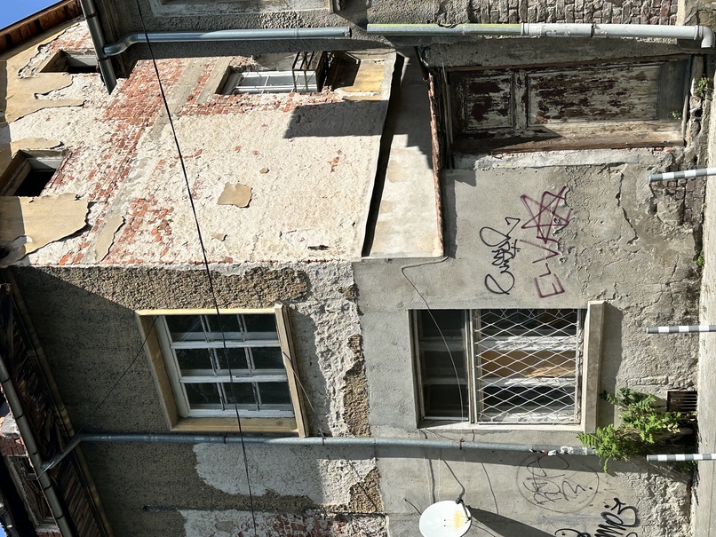 20260901_marinela.jpeg